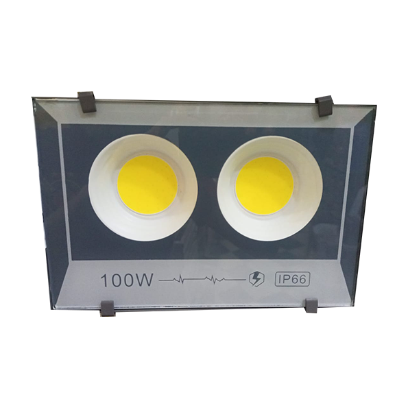 Projecteur LED (IP66)